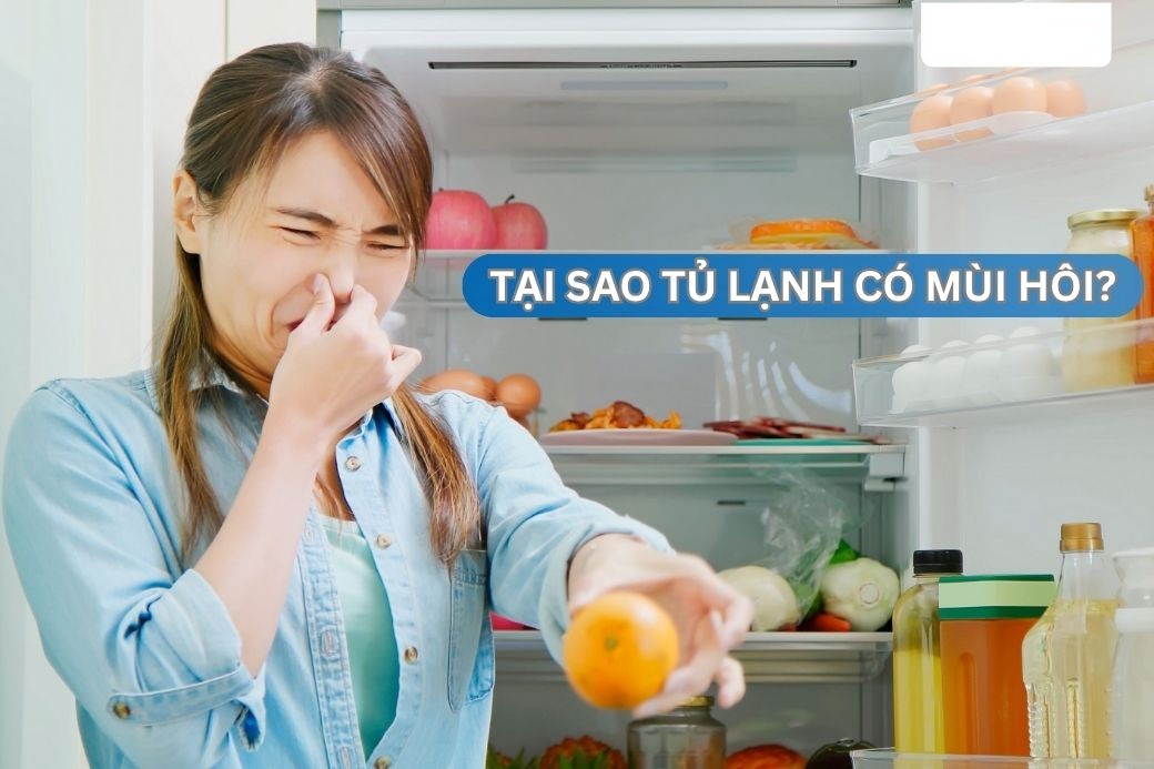 nguyên nhân tủ lạnh có mồi hôi